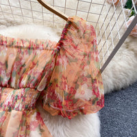Floral watercolour on mesh lace puff dress