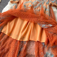 3D embroidery meshed lace maxi dress