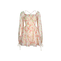 Mini floret chiffon A line dress