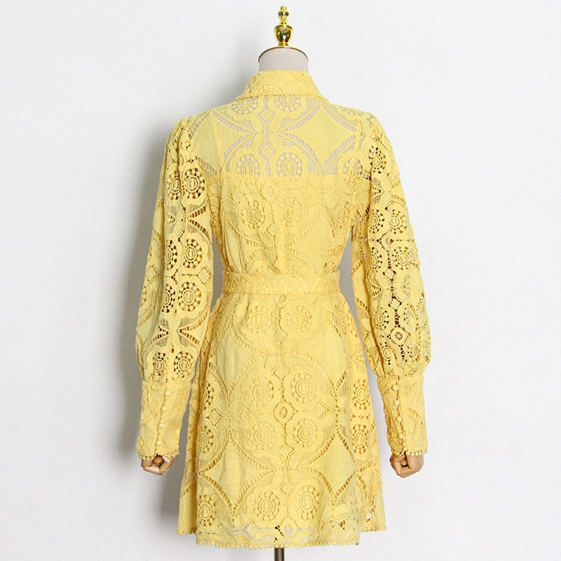 Belted Eyelet embroidery shirt dress