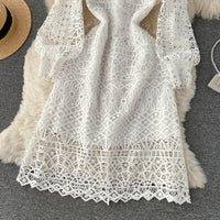 Cuff sleeve A line lace dress