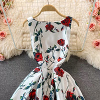 Sabrina roses princess dress