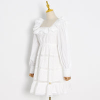 Eyelet embroidery ruffle neckline A line dress