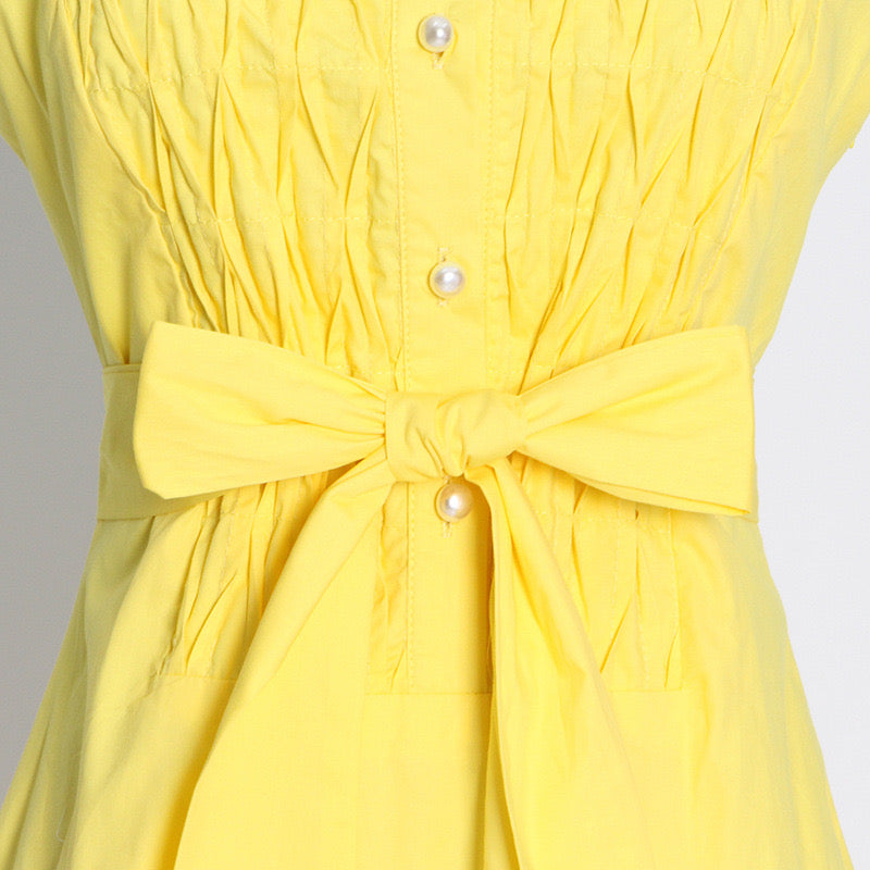 Belted sleeveless button up A line dress